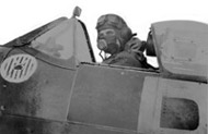Polish Air Force in World War Two - Your Comments